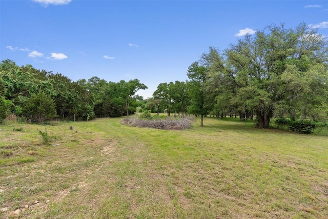 239 Little Gabriel River Dr, Liberty Hill, TX 78642 - photo 17