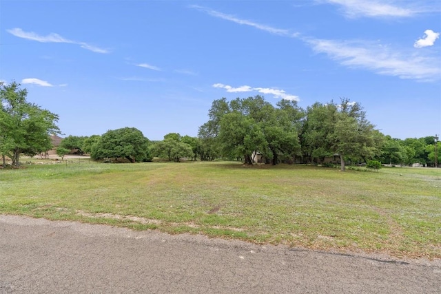 239 Little Gabriel River Dr, Liberty Hill, TX 78642 - photo 11