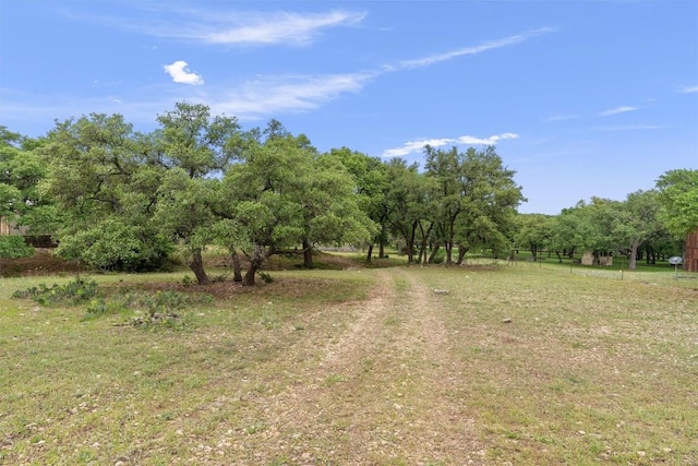 239 Little Gabriel River Dr, Liberty Hill, TX 78642 - photo 14