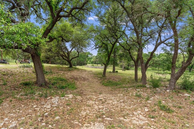 239 Little Gabriel River Dr, Liberty Hill, TX 78642 - photo 15