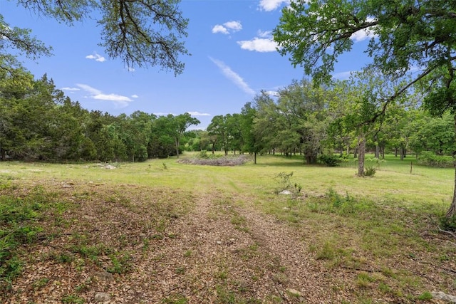 239 Little Gabriel River Dr, Liberty Hill, TX 78642 - photo 16