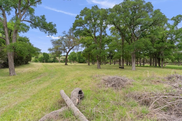 239 Little Gabriel River Dr, Liberty Hill, TX 78642 - photo 18