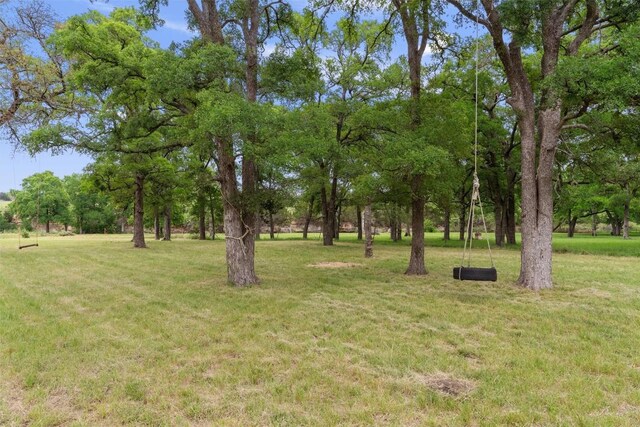239 Little Gabriel River Dr, Liberty Hill, TX 78642 - photo 19
