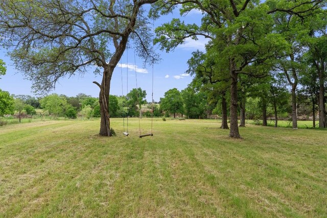 239 Little Gabriel River Dr, Liberty Hill, TX 78642 - photo 20