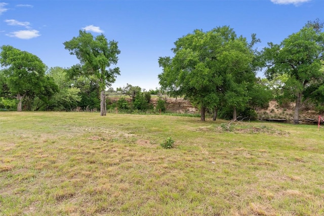239 Little Gabriel River Dr, Liberty Hill, TX 78642 - photo 22
