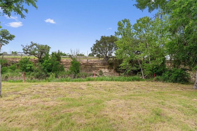 239 Little Gabriel River Dr, Liberty Hill, TX 78642 - photo 23