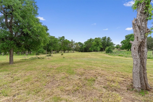 239 Little Gabriel River Dr, Liberty Hill, TX 78642 - photo 25