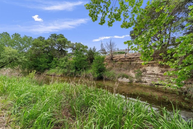 239 Little Gabriel River Dr, Liberty Hill, TX 78642 - photo 26