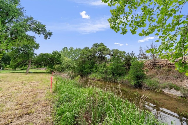 239 Little Gabriel River Dr, Liberty Hill, TX 78642 - photo 28