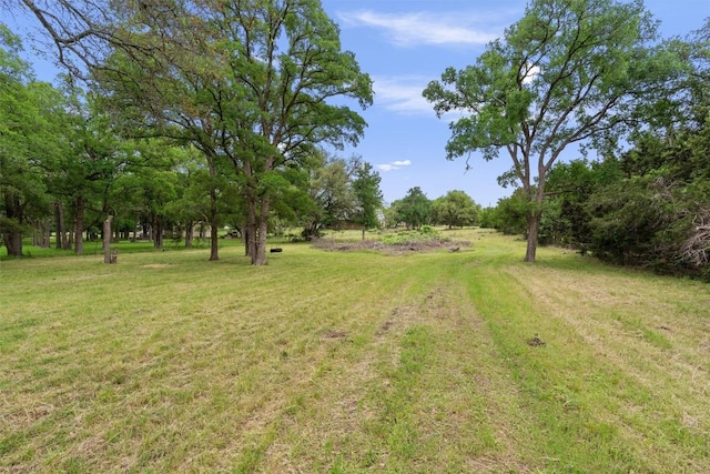 239 Little Gabriel River Dr, Liberty Hill, TX 78642 - photo 30
