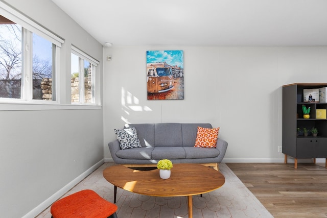 living room with wood-type flooring