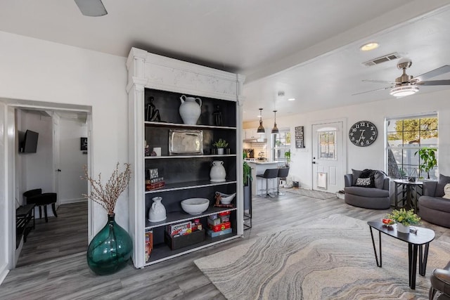 living room featuring ceiling fan and wood-type flooring