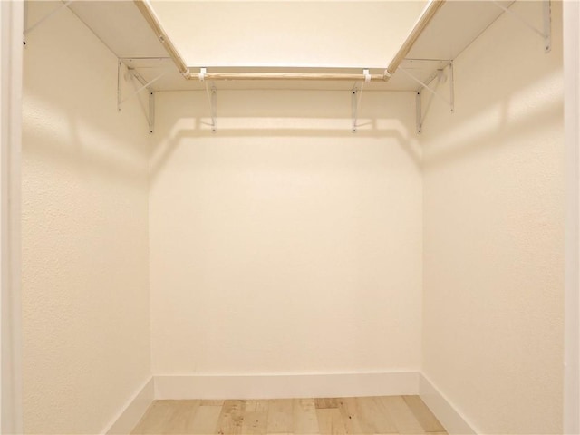 spacious closet featuring wood-type flooring