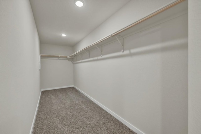 650 Radley Rd, Lockhart, TX 78644 - spacious closet featuring carpet flooring