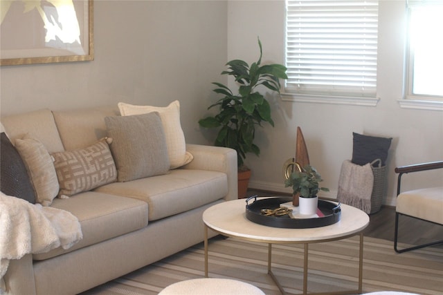 living room featuring wood-type flooring