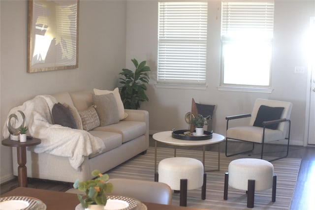 living room featuring hardwood / wood-style flooring