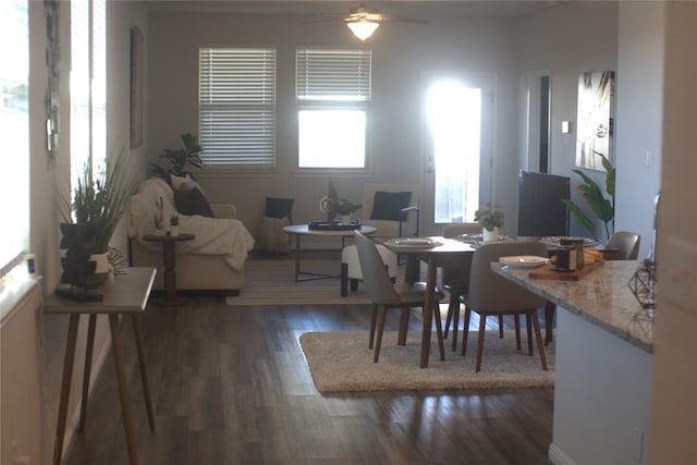 dining area with ceiling fan and dark hardwood / wood-style flooring