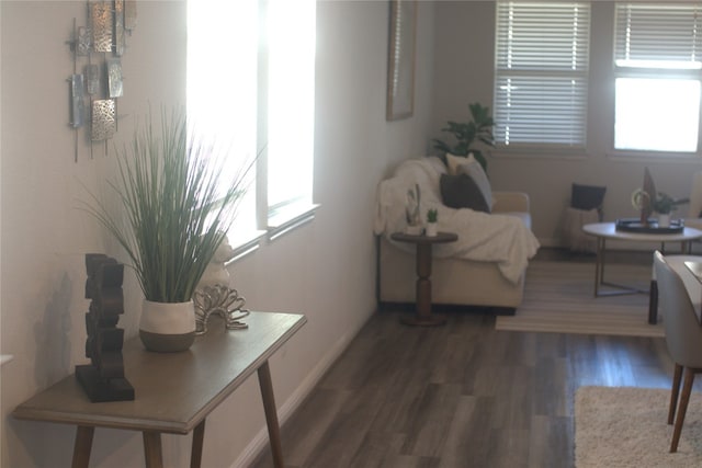 living area featuring a wealth of natural light and dark hardwood / wood-style flooring