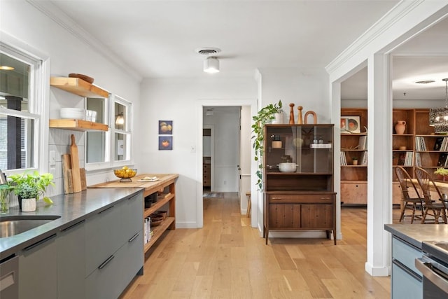 1802 Hutto Rd, Georgetown, TX 78626 - kitchen with gray cabinets, open shelves, light wood-style floors, a sink, and modern cabinets