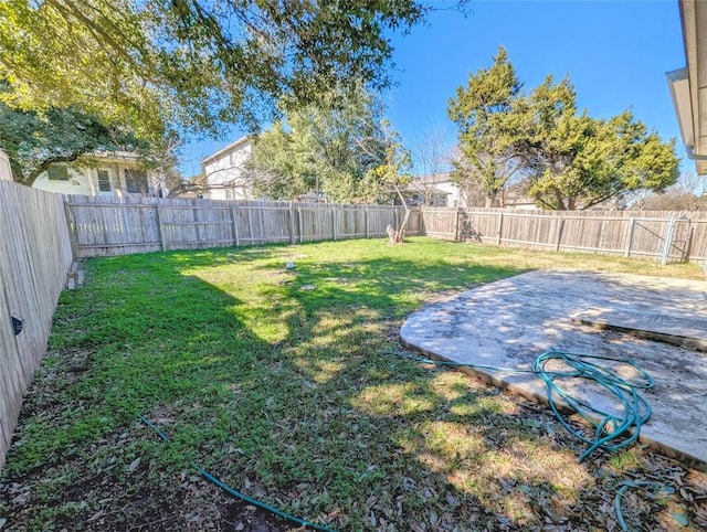 view of yard featuring a patio area