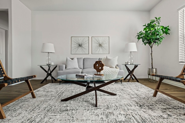 living room with wood-type flooring