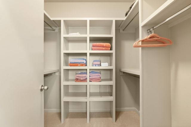 spacious closet featuring light colored carpet