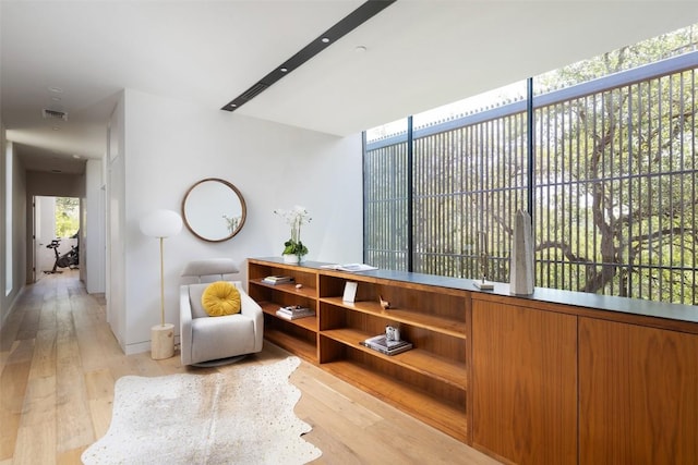 interior space featuring plenty of natural light and light hardwood / wood-style floors