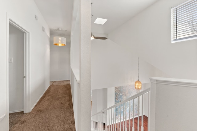 hallway with carpet flooring and a skylight