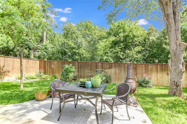 8013 Doe Meadow Dr, Austin, TX 78749 - fenced backyard featuring a patio area