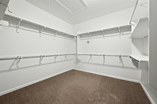 walk in closet featuring carpet