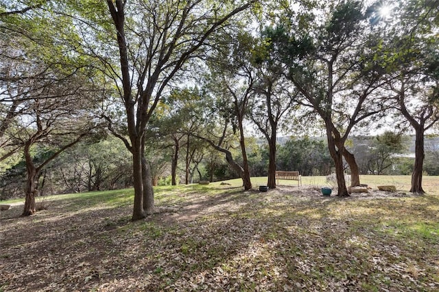 303 Camino Arbolago St, Lakeway, TX 78734 - view of yard