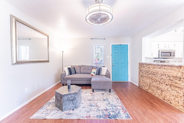 living room featuring light hardwood / wood-style floors