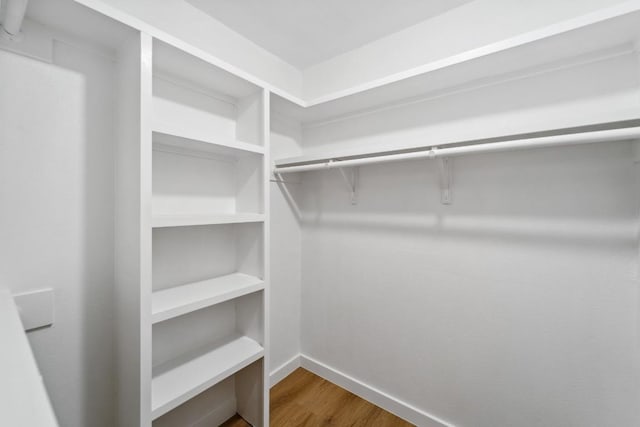 walk in closet with wood-type flooring