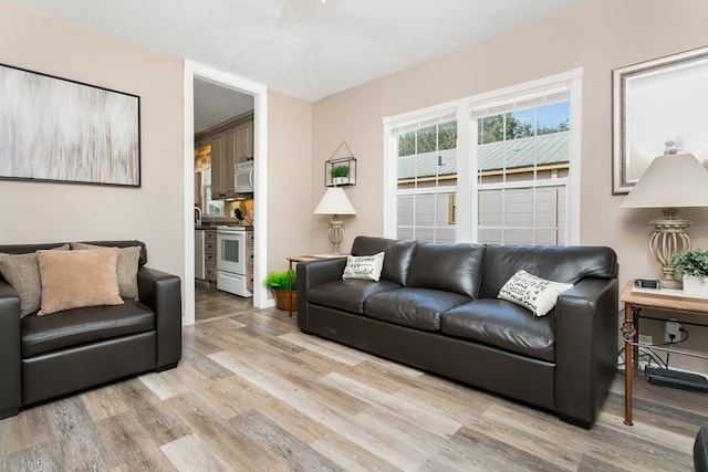 living room with light hardwood / wood-style flooring