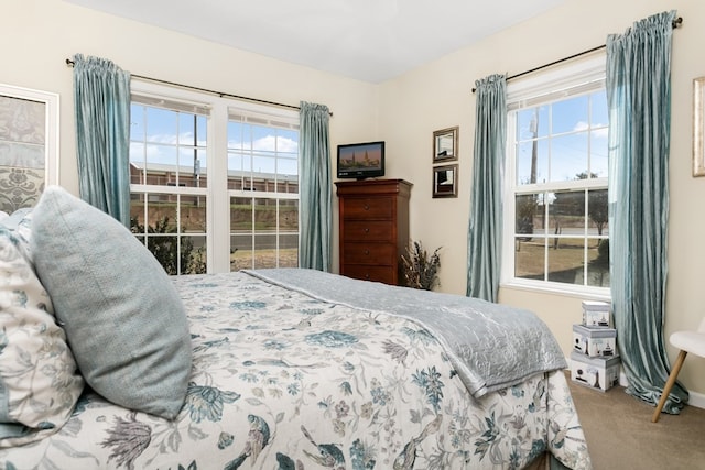 bedroom with multiple windows and carpet floors