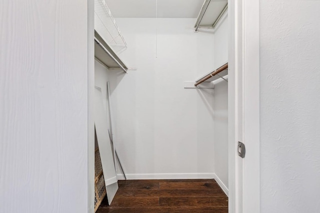 spacious closet with dark hardwood / wood-style floors