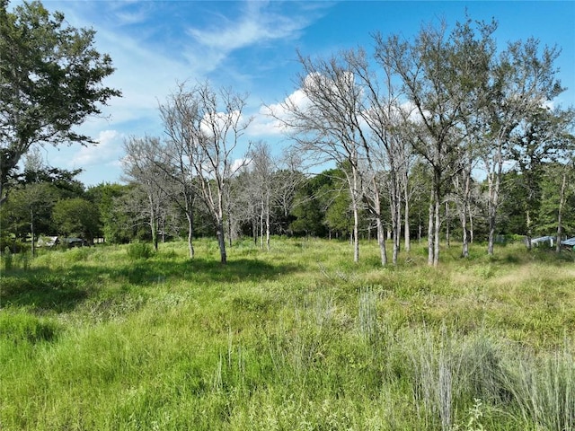 1190 Big Berry Rd, Somerville TX, 77879 land for sale