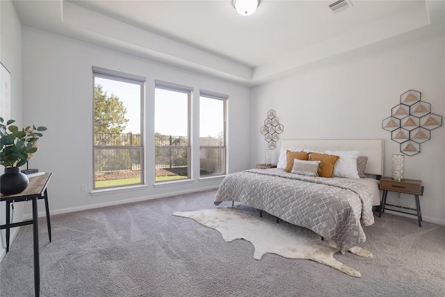 carpeted bedroom featuring a tray ceiling