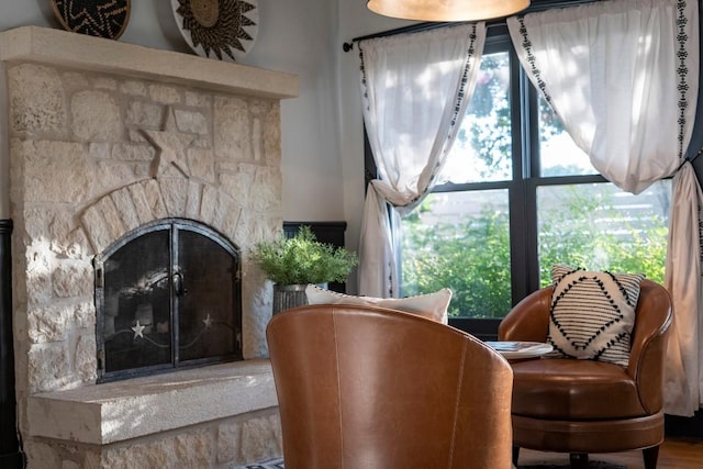 living area with a stone fireplace