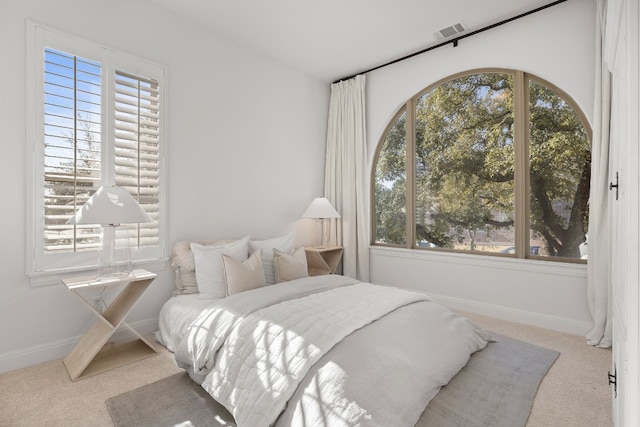 carpeted bedroom with multiple windows