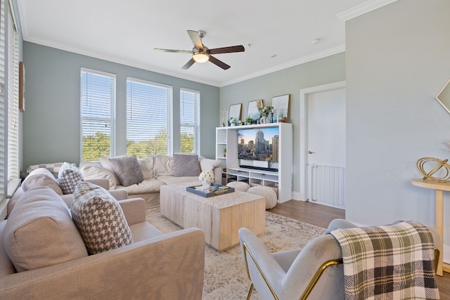 living room featuring ornamental molding, light wood-type flooring, and ceiling fan