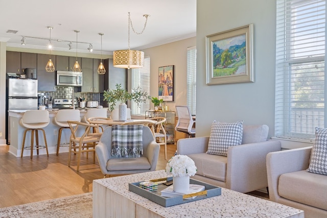 living room featuring crown molding and light hardwood / wood-style flooring