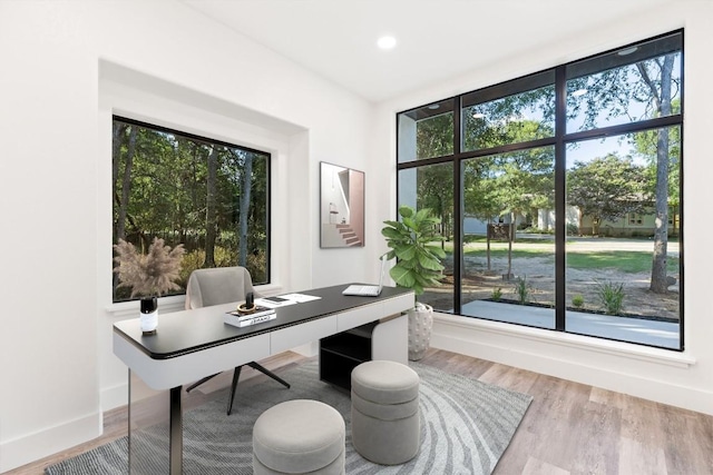 home office featuring hardwood / wood-style floors