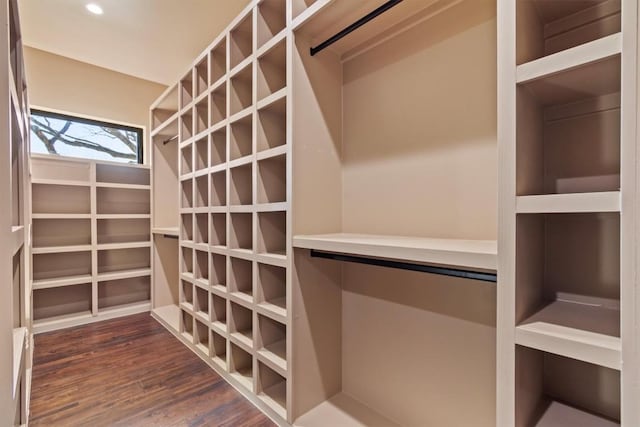 walk in closet featuring dark wood-type flooring