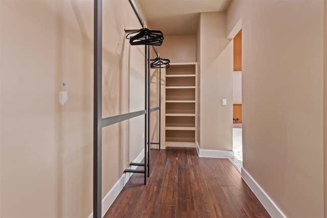 spacious closet featuring dark wood-type flooring