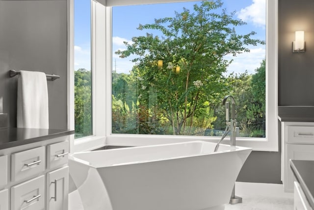 bathroom with a healthy amount of sunlight, vanity, and a bathing tub