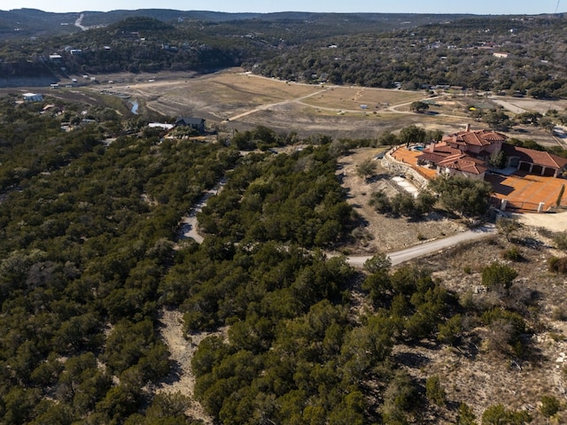 10529 W Darleen Dr, Leander, TX 78641