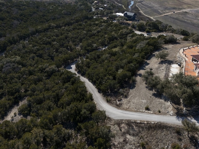 10529 W Darleen Dr, Leander, TX 78641