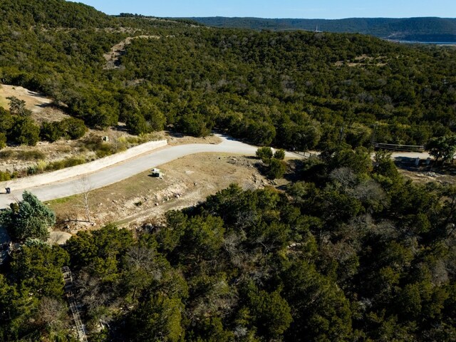 10529 W Darleen Dr, Leander, TX 78641