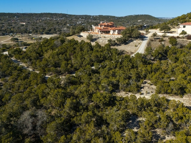 10529 W Darleen Dr, Leander, TX 78641